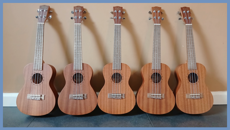 Workshop ukelele leren spelen workshop ukelele leren spelen